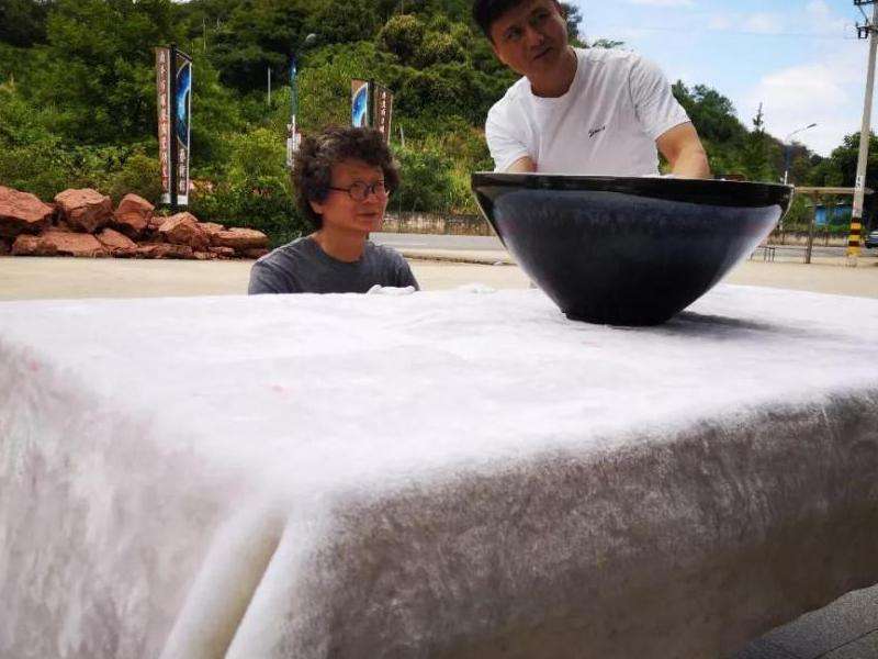 金炳官在TikTok上的账号情况