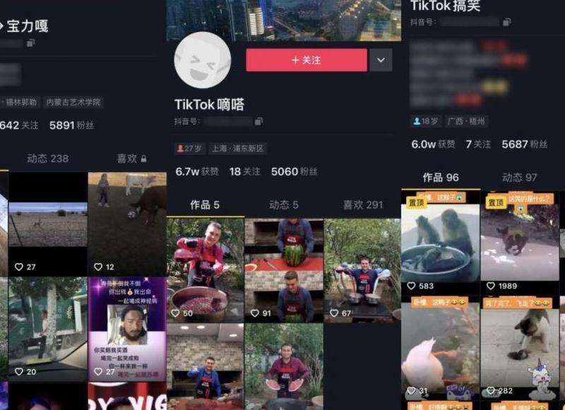TikTok小柔账号 发现TikTok上小柔的官方账号和创意视频